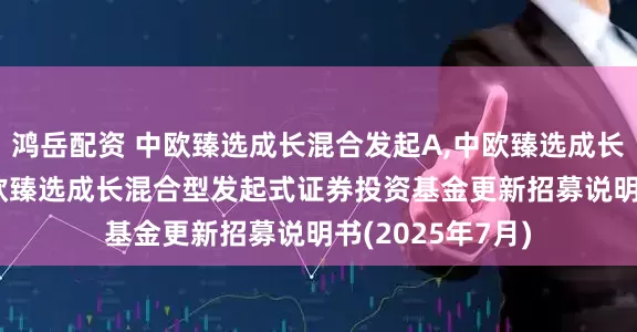鸿岳配资 中欧臻选成长混合发起A,中欧臻选成长混合发起C: 中欧臻选成长混合型发起式证券投资基金更新招募说明书(2025年7月)