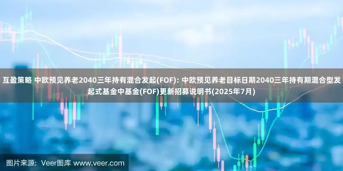 互盈策略 中欧预见养老2040三年持有混合发起(FOF): 中欧预见养老目标日期2040三年持有期混合型发起式基金中基金(FOF)更新招募说明书(2025年7月)