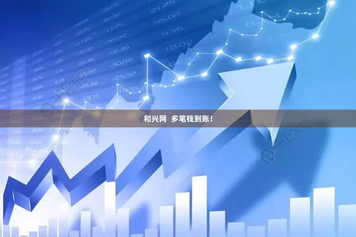 和兴网  多笔钱到账！