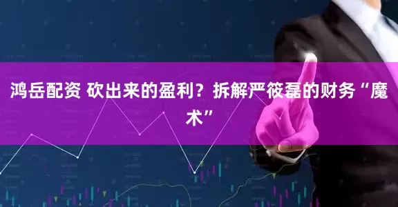 鸿岳配资 砍出来的盈利？拆解严筱磊的财务“魔术”
