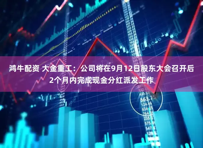 鸿牛配资 大金重工：公司将在9月12日股东大会召开后2个月内完成现金分红派发工作