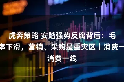 虎奔策略 安踏强势反腐背后：毛利率下滑，营销、采购是重灾区丨消费一线