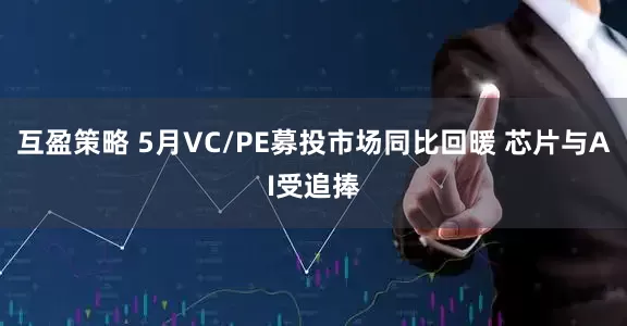 互盈策略 5月VC/PE募投市场同比回暖 芯片与AI受追捧