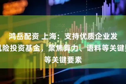 鸿岳配资 上海：支持优质企业发展风险投资基金，聚焦算力、语料等关键要素
