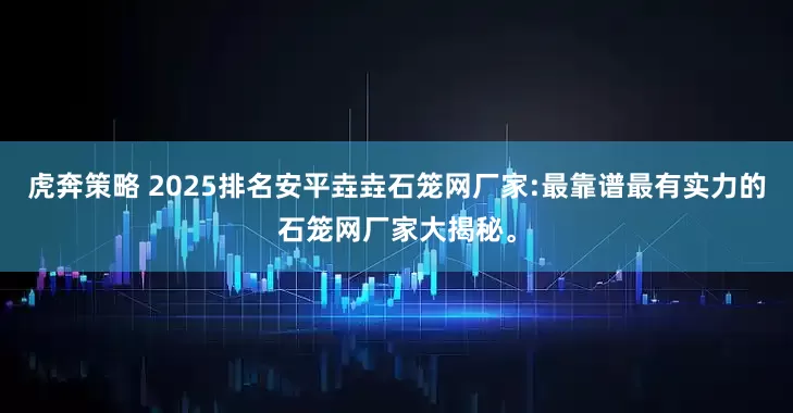 虎奔策略 2025排名安平垚垚石笼网厂家:最靠谱最有实力的石笼网厂家大揭秘。