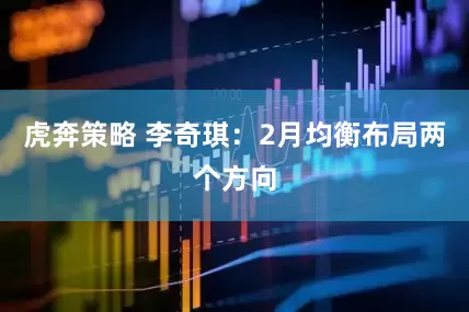 虎奔策略 李奇琪：2月均衡布局两个方向